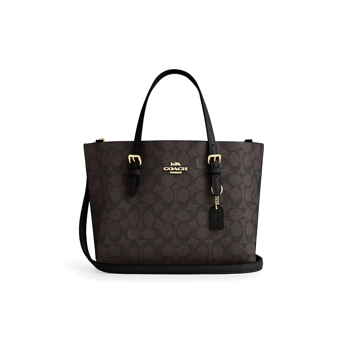 Coach Mollie Tote 25
